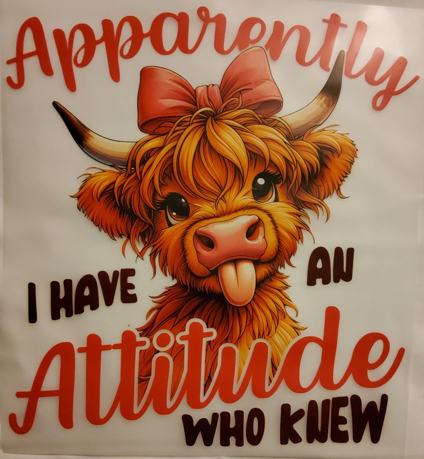 Attitude DTF Ready to press transfer