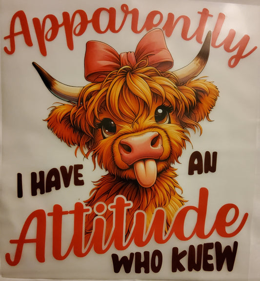 Attitude DTF Ready to press transfer